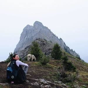 Meet your Posher, Molly